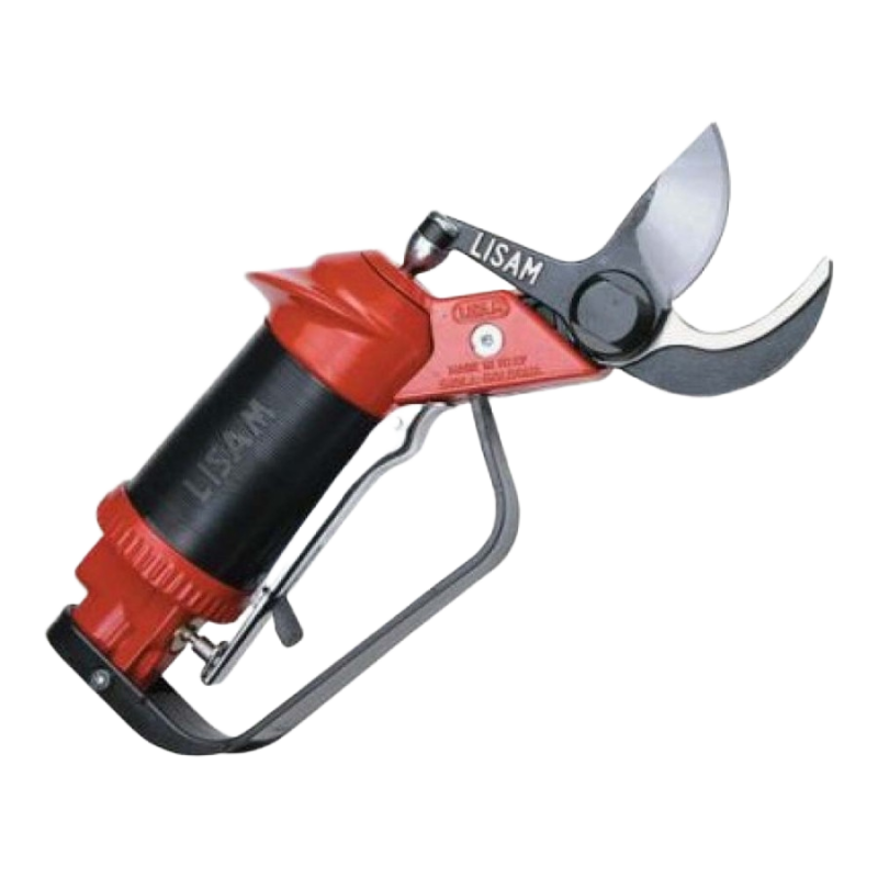 ΑΕΡΟΨΑΛΙΔΟ ΔΕΝΔΡOΚΟΜΙΚΟ SLY